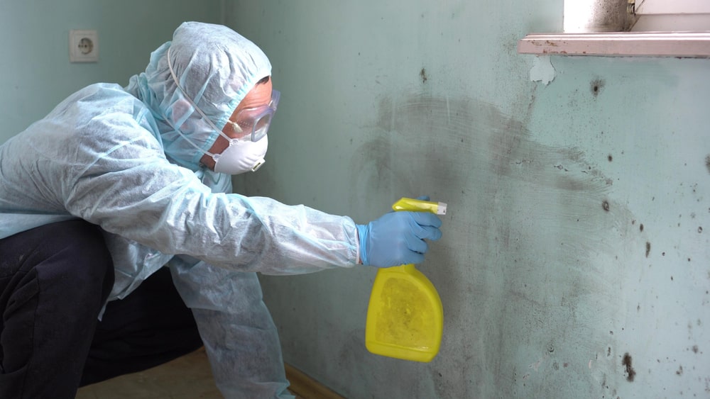 Mold Remediation