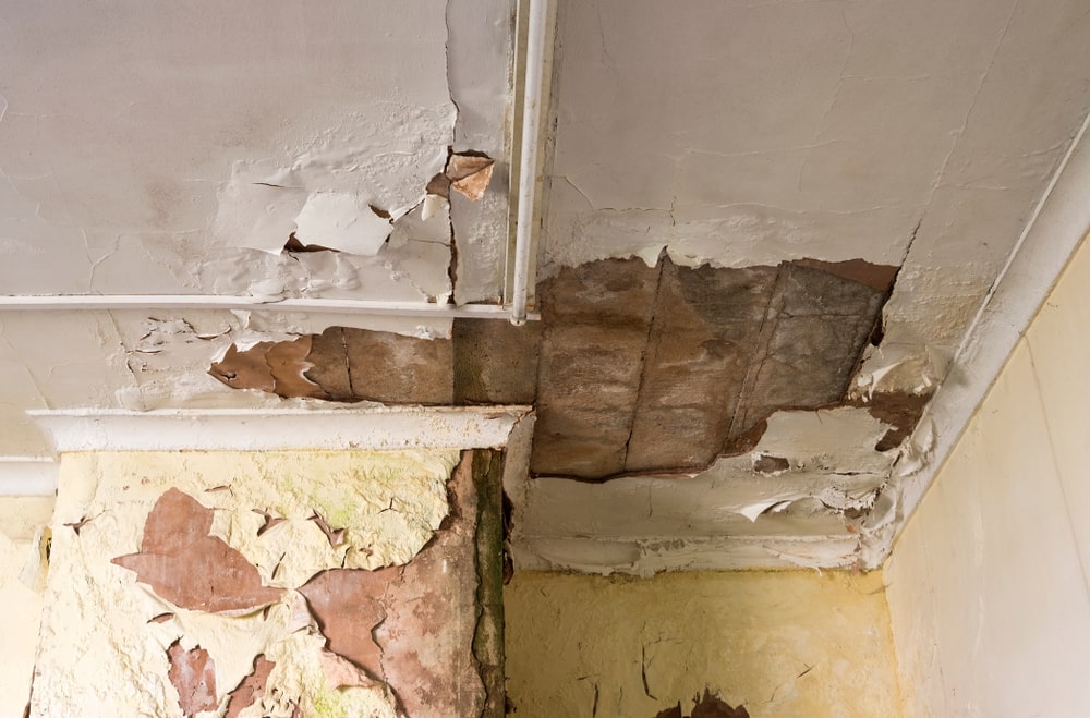 Water Damage Restoration Service